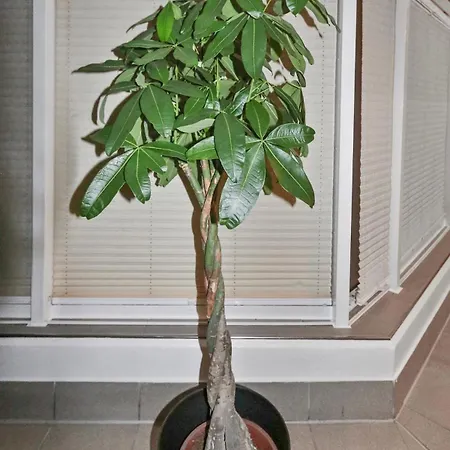 Hochwertiger Ausgestatteter Fuer 8 Personen, 3 Schlafzimmer, 2 Parkplaetze, Wlan