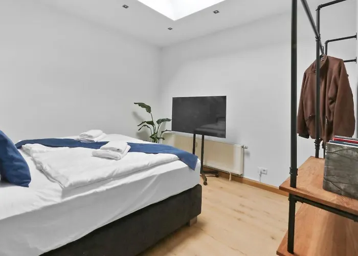 Apartamento Hochwertiger Ausgestatteter Fuer 8 Personen, 3 Schlafzimmer, 2 Parkplaetze, Wlan Dresden