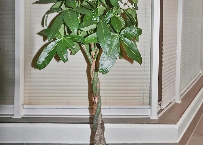 Hochwertiger Ausgestatteter Fuer 8 Personen, 3 Schlafzimmer, 2 Parkplaetze, Wlan