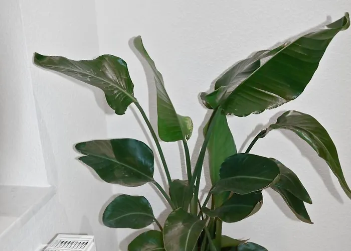 Hochwertiger Ausgestatteter Fuer 8 Personen, 3 Schlafzimmer, 2 Parkplaetze, Wlan 드레스덴