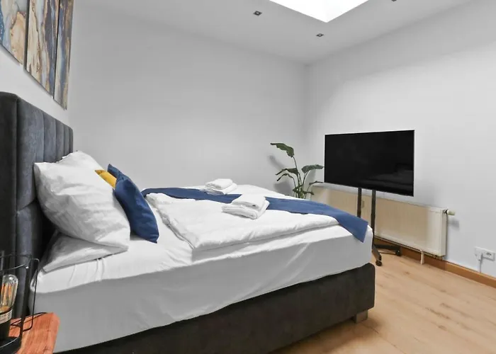 公寓 Hochwertiger Ausgestatteter Fuer 8 Personen, 3 Schlafzimmer, 2 Parkplaetze, Wlan 德累斯顿